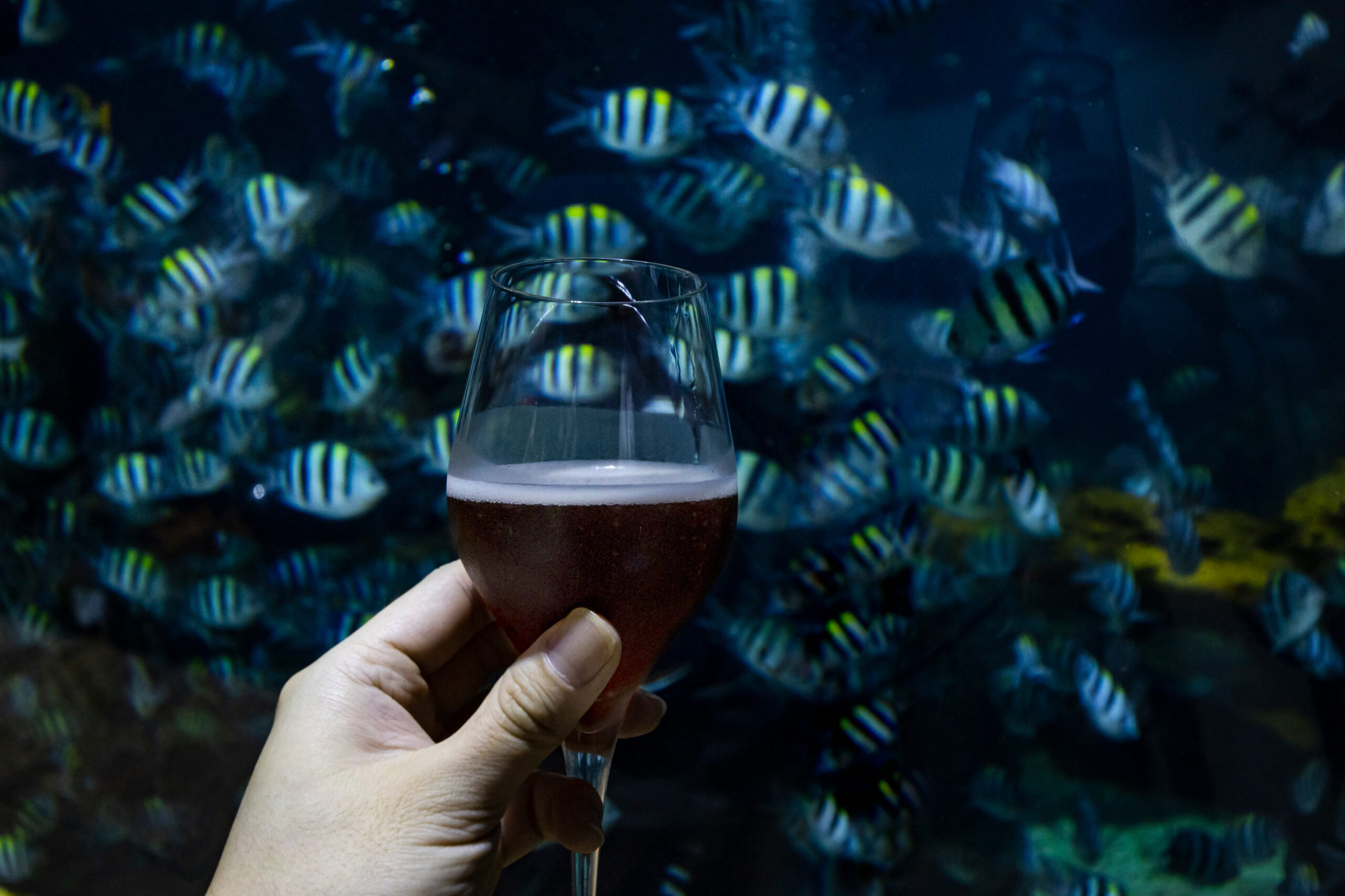 Bali S First Aquarium Dining Experience Stefano Malachi