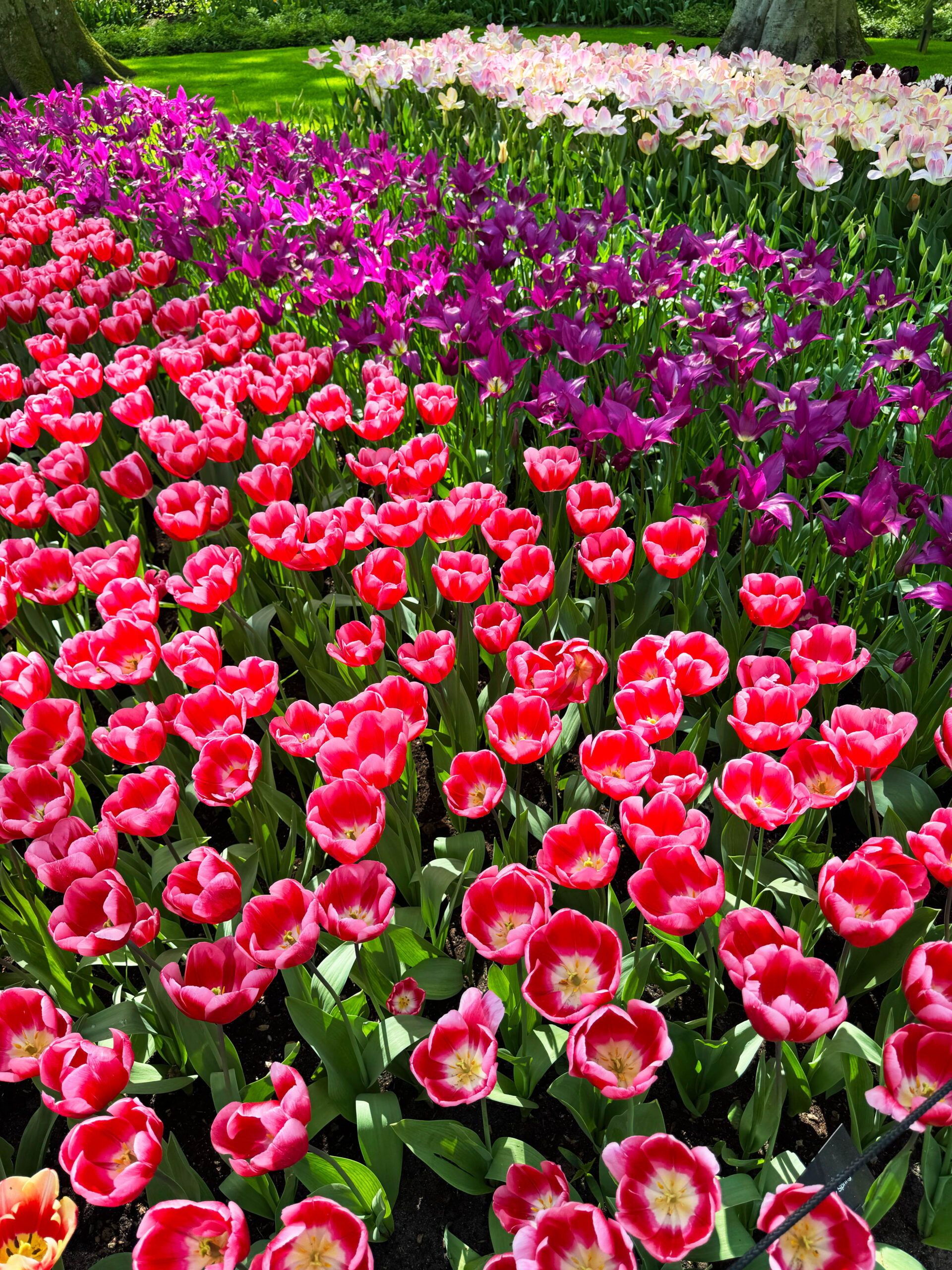 Stefano Malachi Hotel Okura Amsterdam