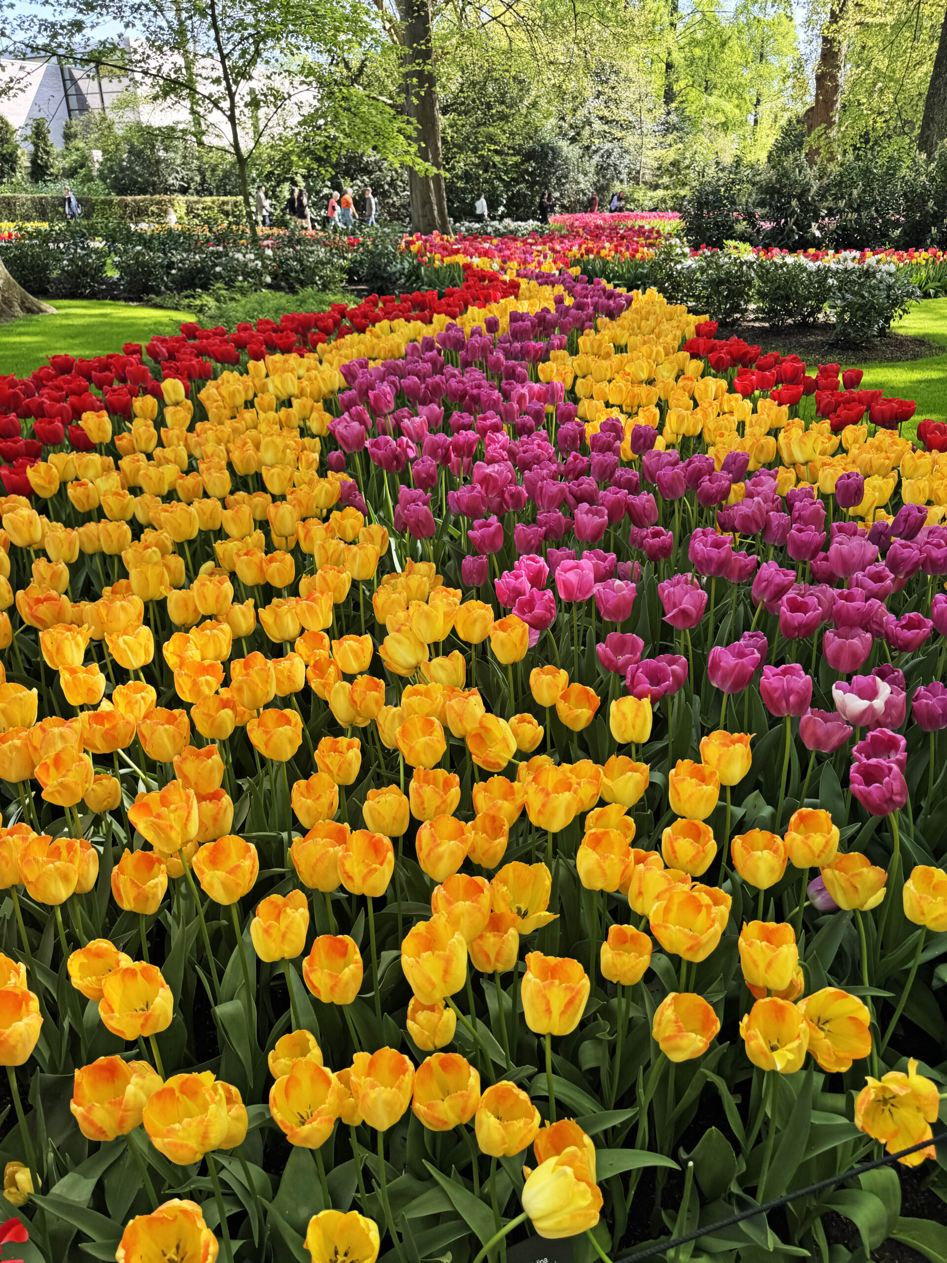 Stefano Malachi Hotel Okura Amsterdam