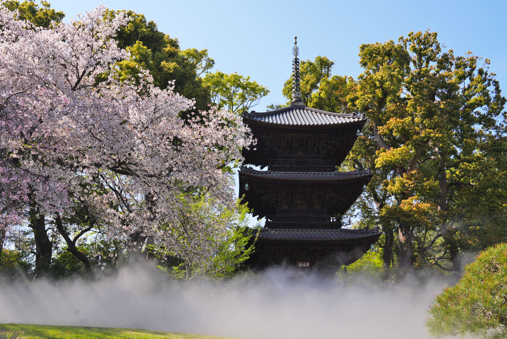 Luxury in Full Bloom: Hotel Chinzanso Tokyo’s Sakura Sea of Clouds