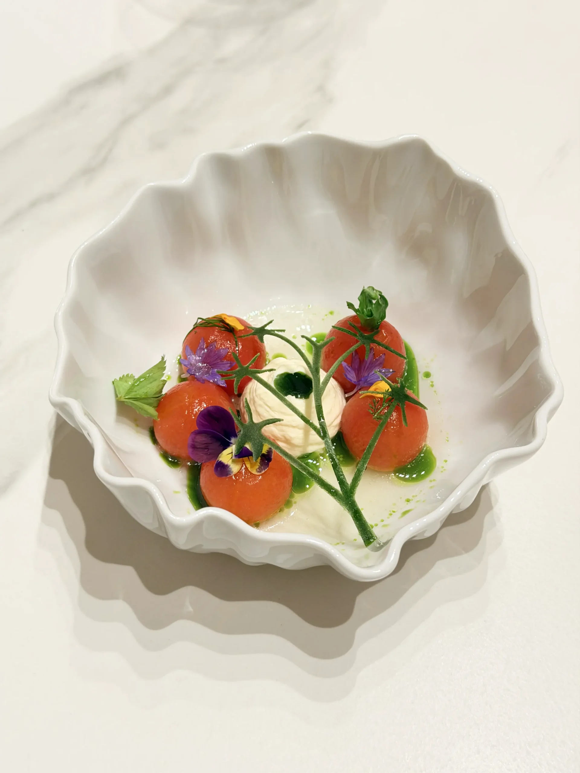 Stefano Malachi Speilsalen Trondheim Norway Summer 2026 Tomato Hanasand-IMG_0604